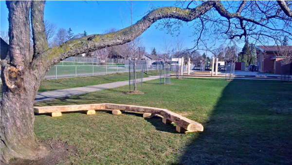 log bench installed on site