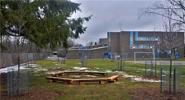 two benches in school yard